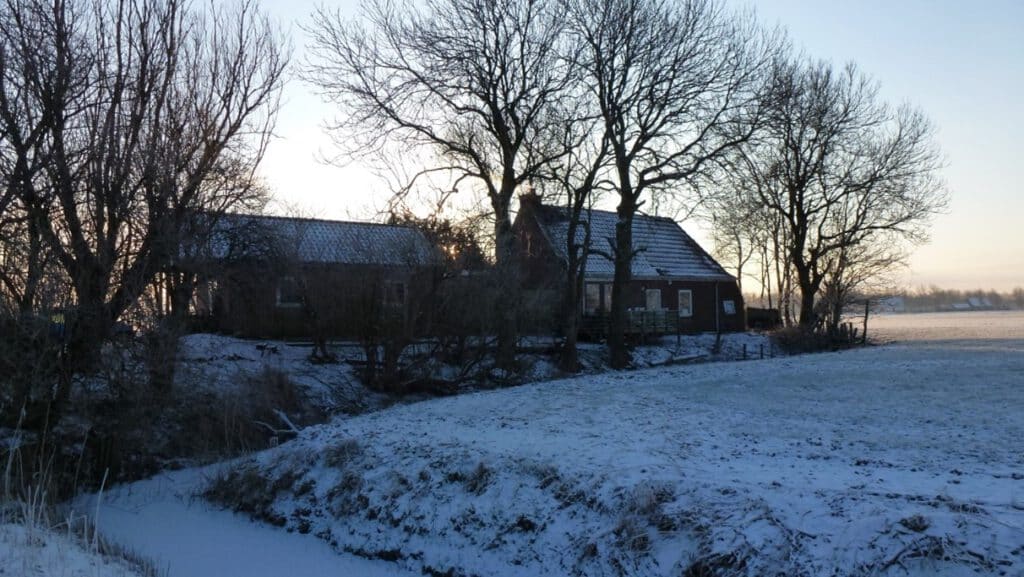 Home in the snow